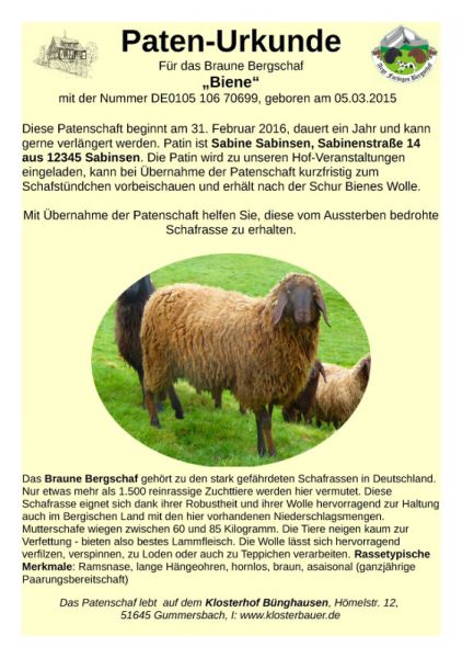 Zum Aufhängen, zum Erinnern - und auf jeden Fall zum Verlieben Zum Aufhängen, zum Erinnern - und auf jeden Fall zum Verlieben