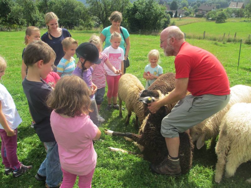 Mal genau hinschauen - und die Scheu vor dem jungen Schaf verlieren, auch das kann Teil eines Angebotes sein Mal genau hinschauen - und die Scheu vor dem jungen Schaf verlieren, auch das kann Teil eines Angebotes sein